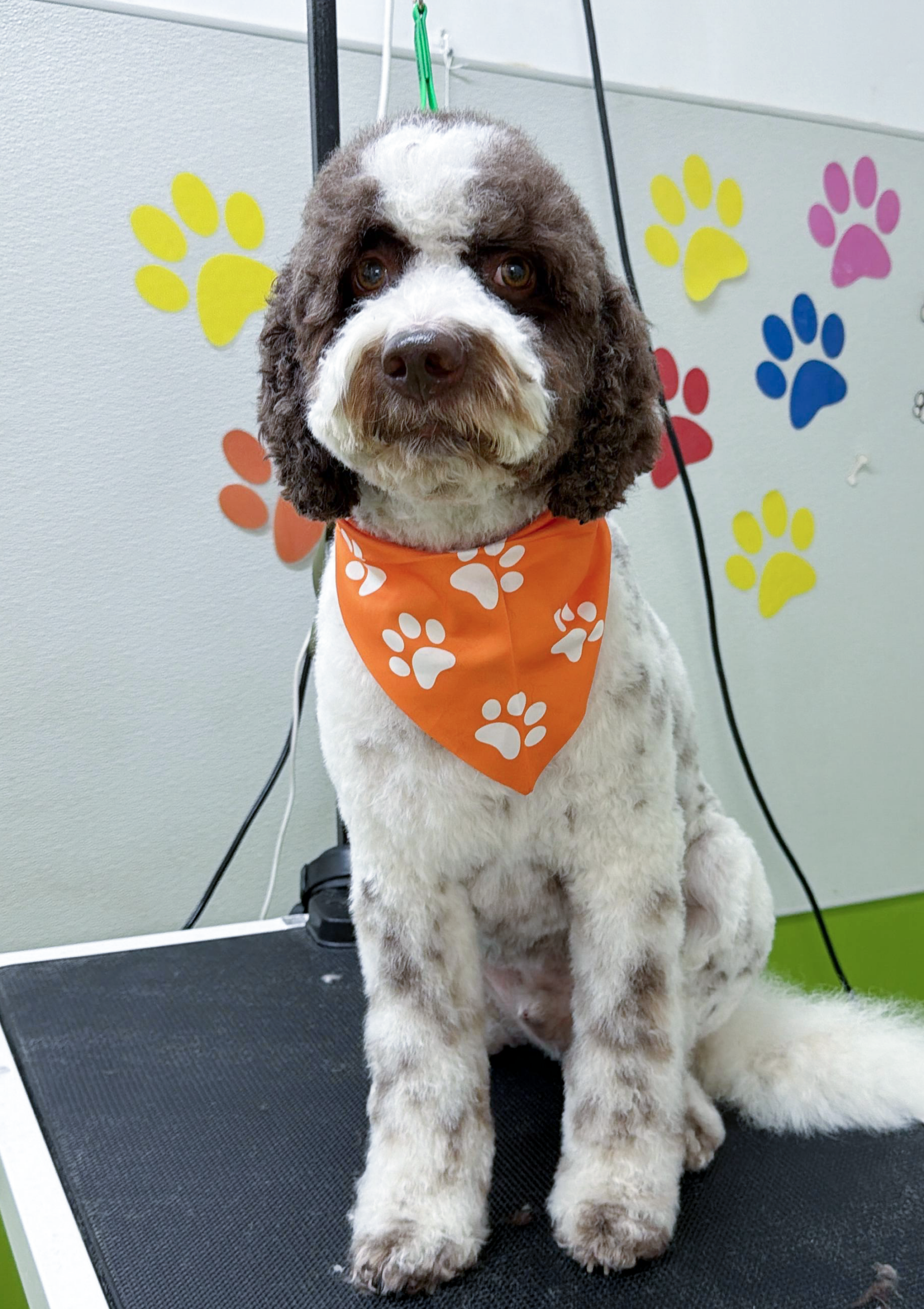After 